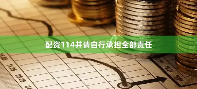 配资114并请自行承担全部责任