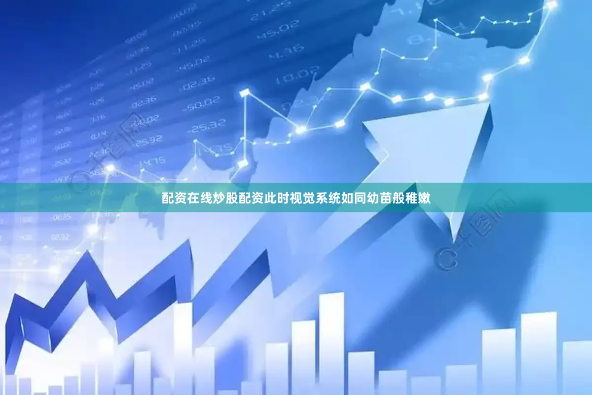 配资在线炒股配资此时视觉系统如同幼苗般稚嫩